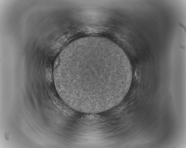 X0000102041348200808151357