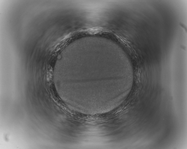 X0000102041349200808151357
