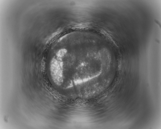 X0000102041350200808151357