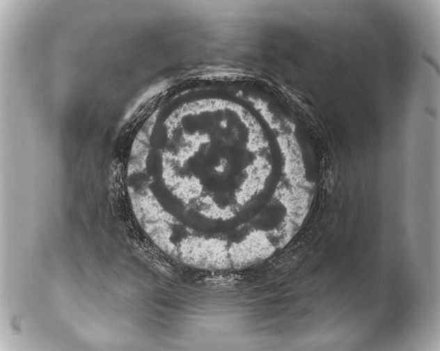 X0000102041351200808151357