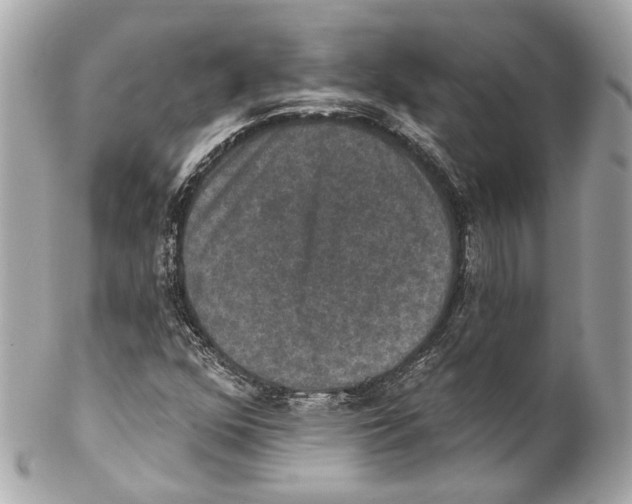 X0000102041352200808151357