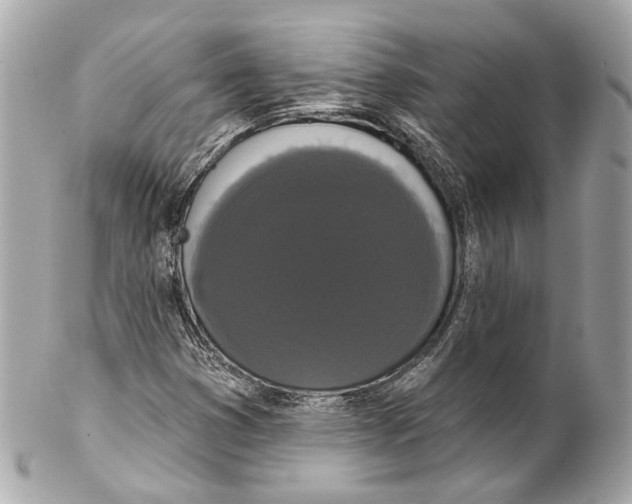 X0000102041353200808151357