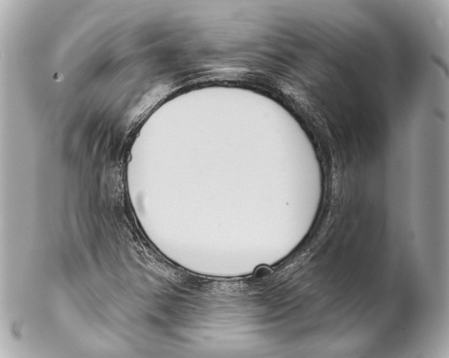 X0000102041354200808151357