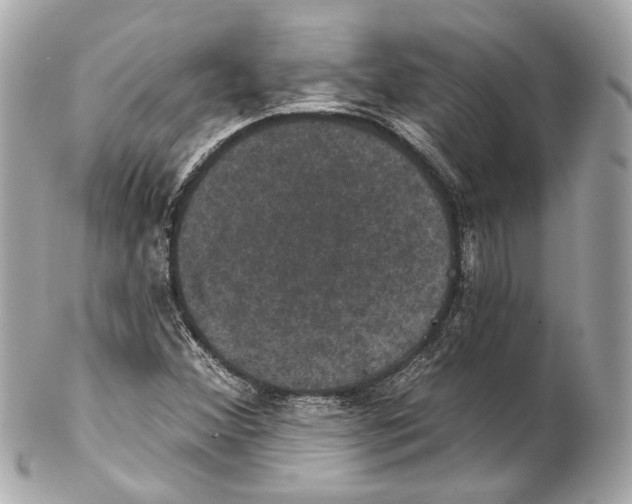 X0000102041356200808151357
