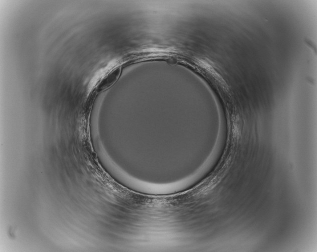 X0000102041357200808151357