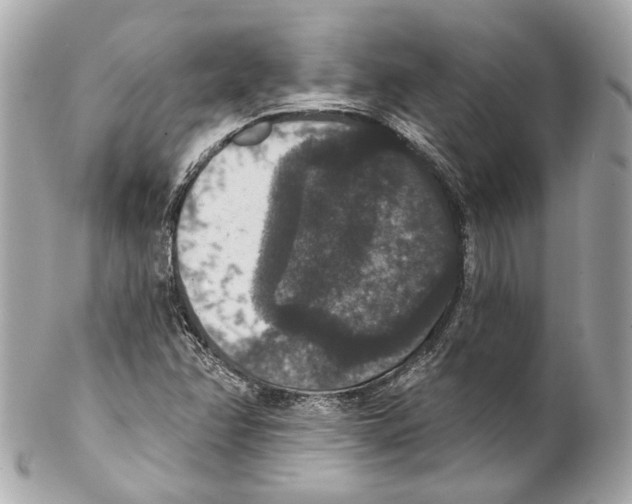 X0000102041358200808151357