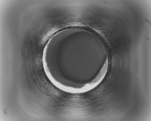 X0000102041359200808151357
