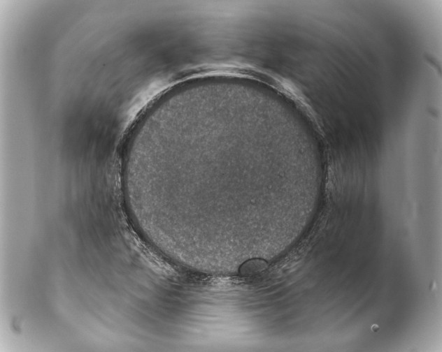 X0000102041360200808151357