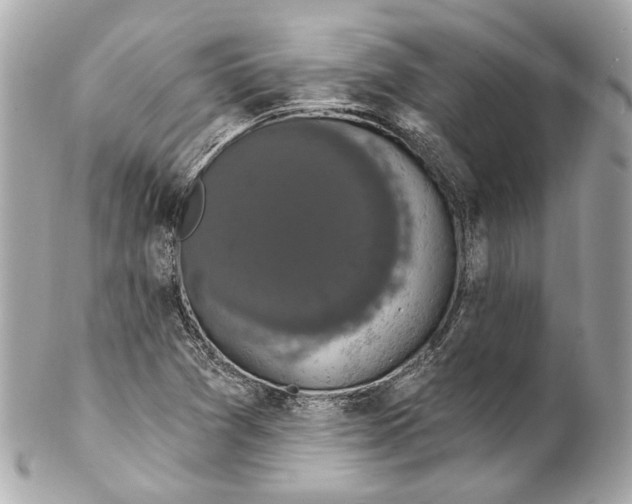 X0000102041361200808151357