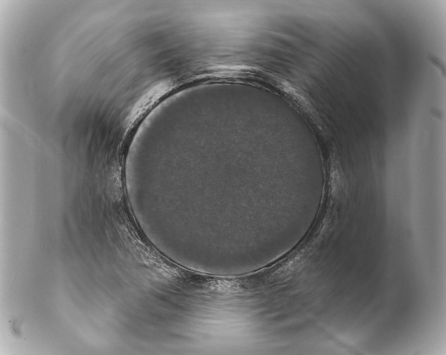 X0000102041362200808151357