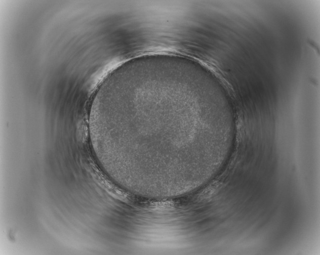 X0000102041363200808151357