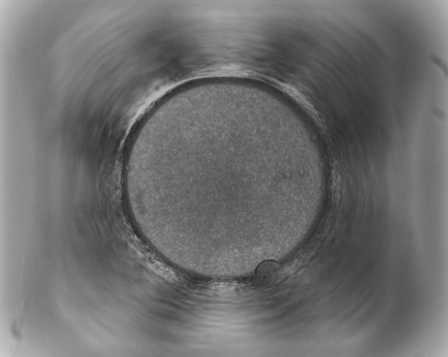 X0000102041364200808151357