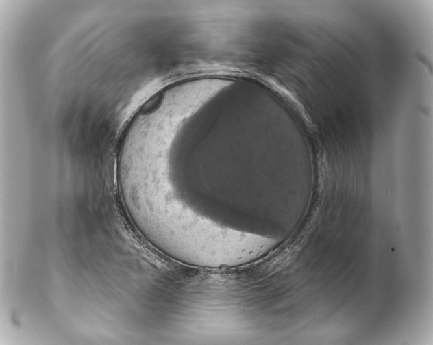 X0000102041365200808151357