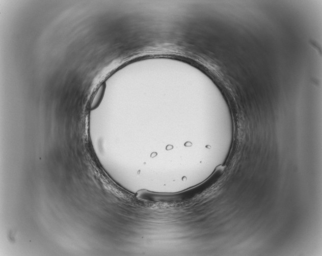 X0000102041366200808151357