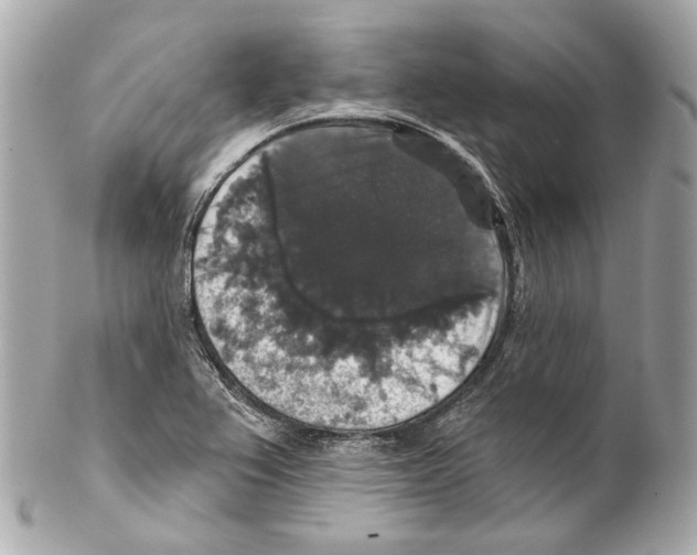 X0000102041367200808151357