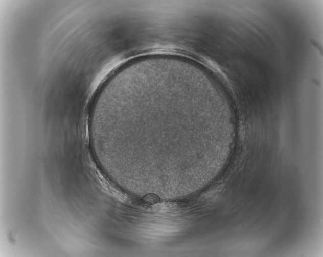 X0000102041368200808151357