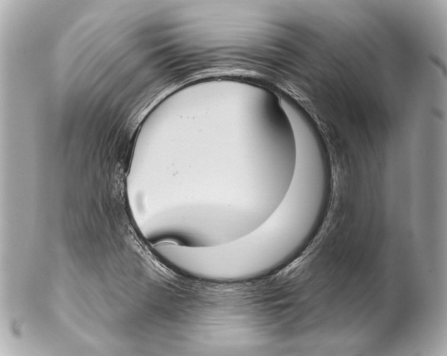 X0000102041369200808151357