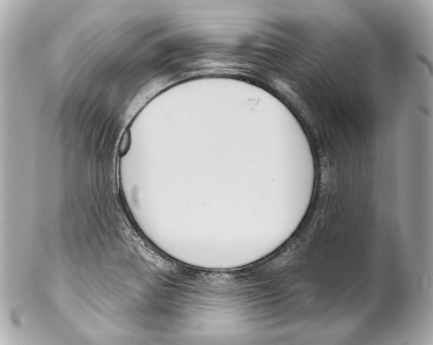 X0000102041370200808151357