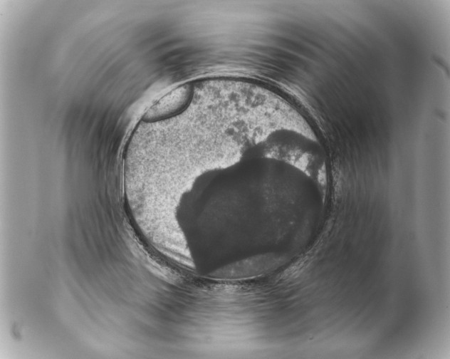 X0000102041371200808151357