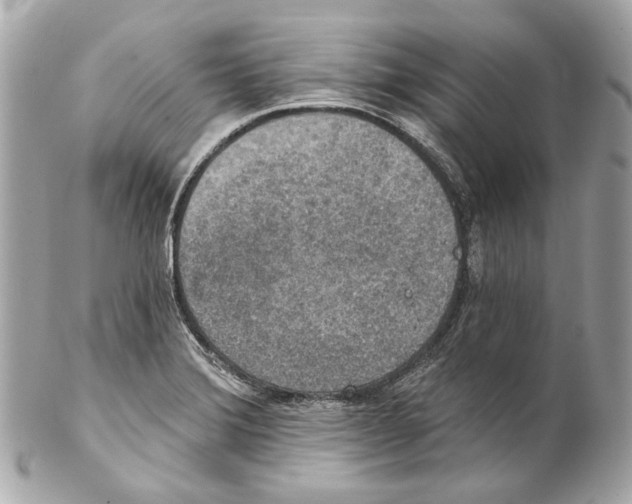 X0000102041372200808151357