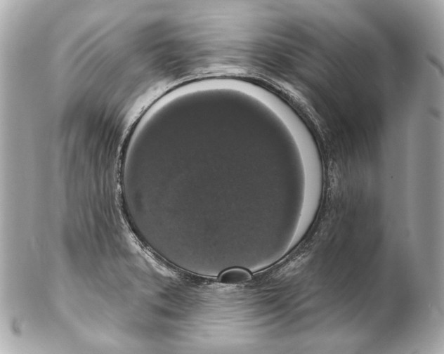 X0000102041373200808151357
