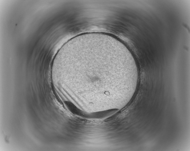 X0000102041374200808151357