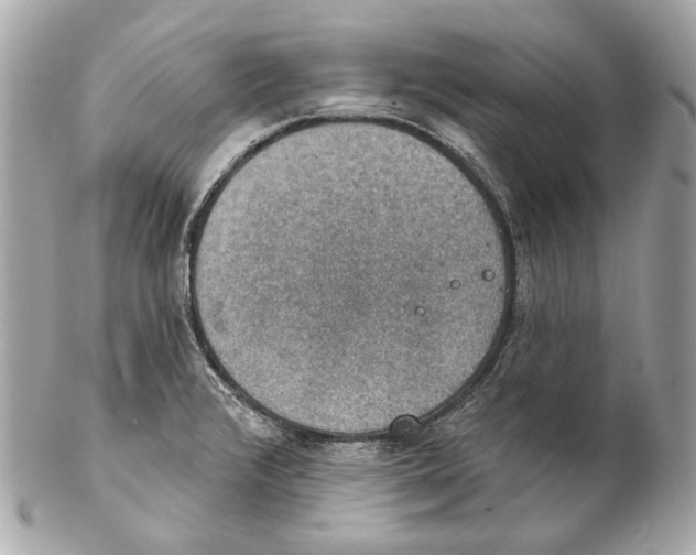 X0000102041376200808151357