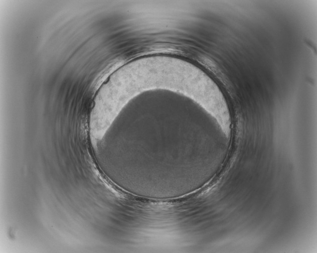 X0000102041377200808151357