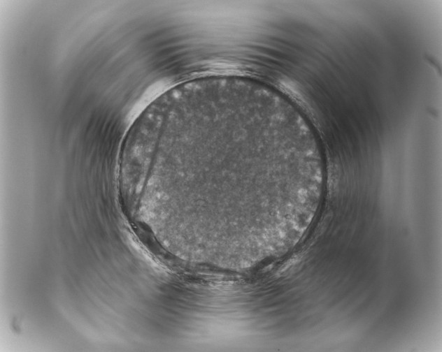 X0000102041378200808151357