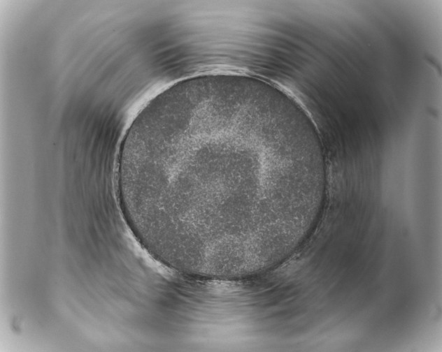 X0000102041379200808151357