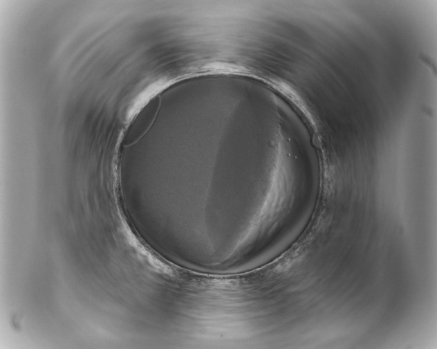 X0000102041381200808151357