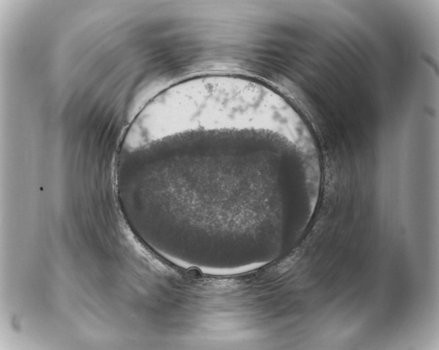 X0000102041382200808151357