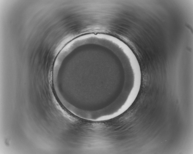 X0000102041383200808151357