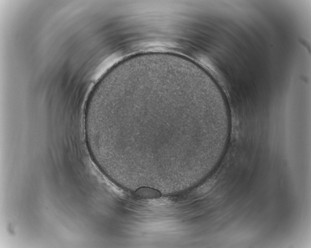 X0000102041384200808151357