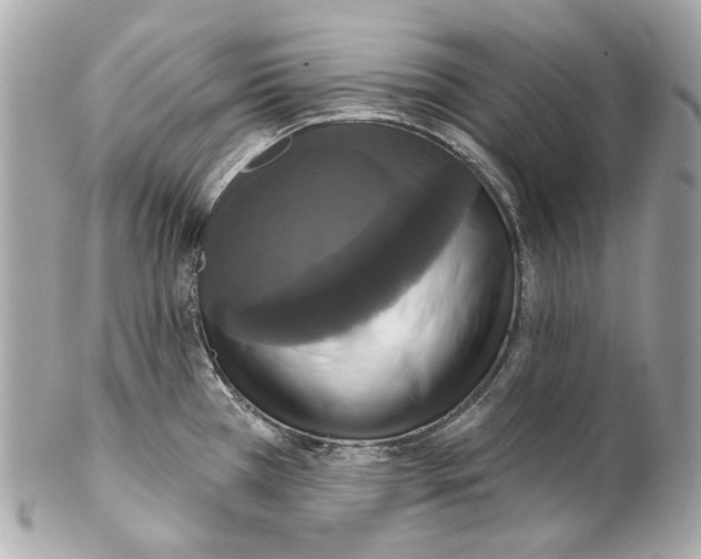 X0000102041385200808151357