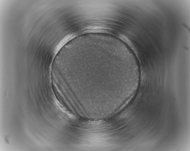 X0000102041386200808151356