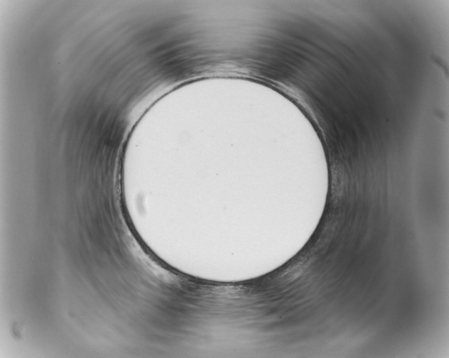 X0000102041387200808151356