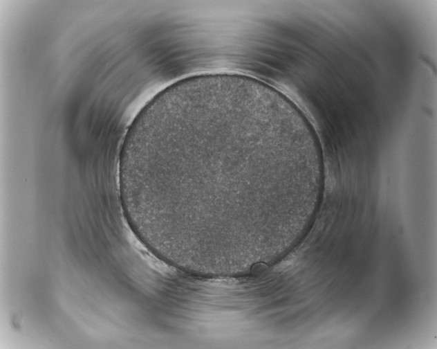 X0000102041388200808151356