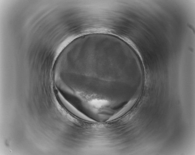 X0000102041389200808151356