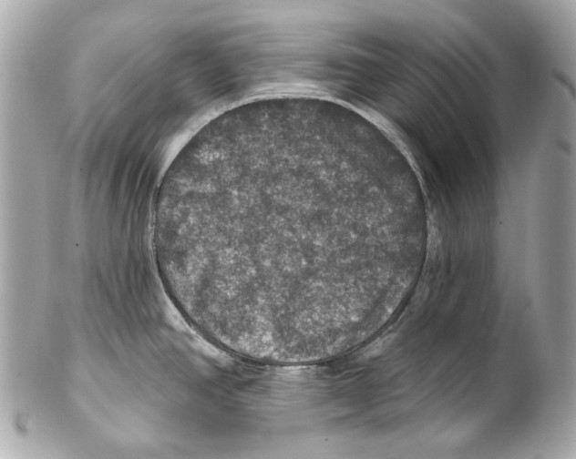 X0000102041390200808151356