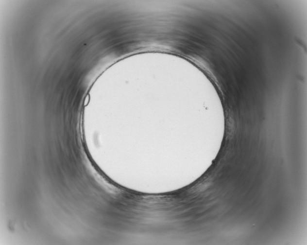 X0000102041391200808151356