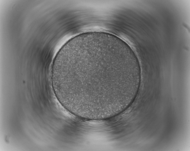 X0000102041392200808151356