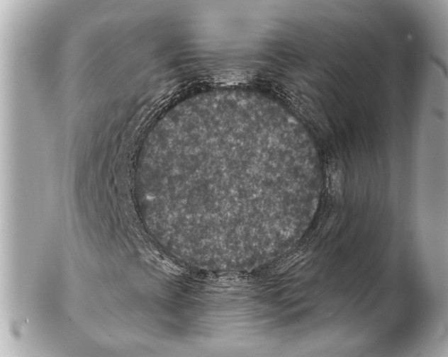 X0000102041393200808151355