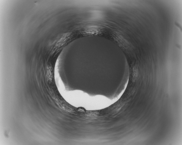 X0000102041394200808151355