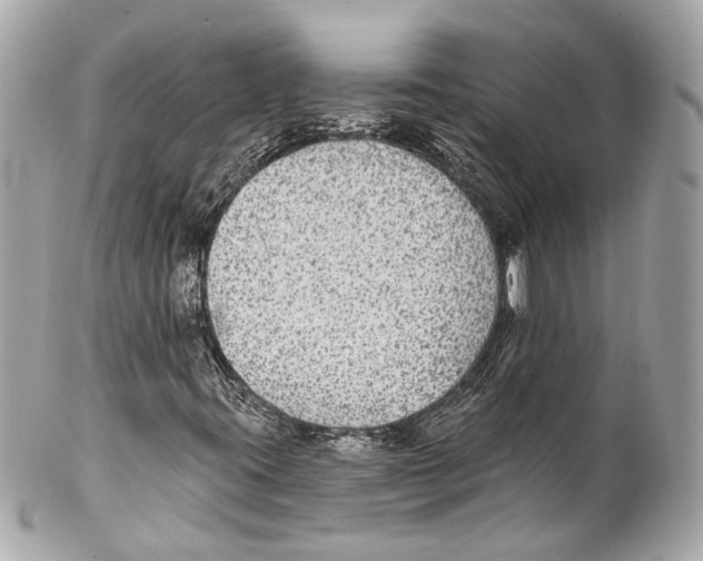 X0000102041395200808151355