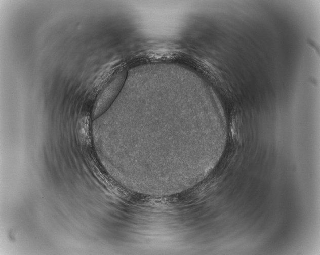 X0000102041396200808151355