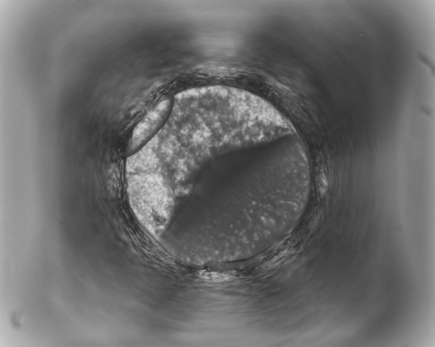 X0000102041397200808151355