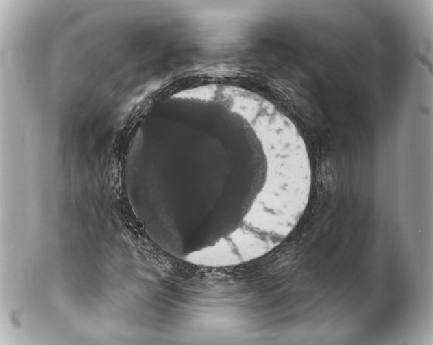 X0000102041398200808151355