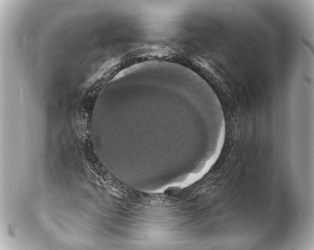 X0000102041399200808151355