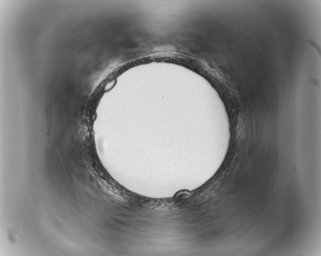 X0000102041400200808151355